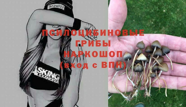дурь Верхний Тагил